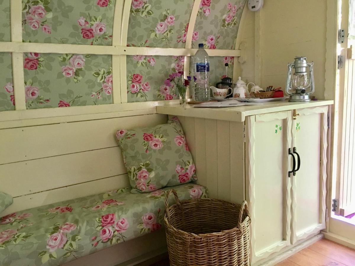 Bed and Breakfast Fernwood Ringwood Zewnętrze zdjęcie