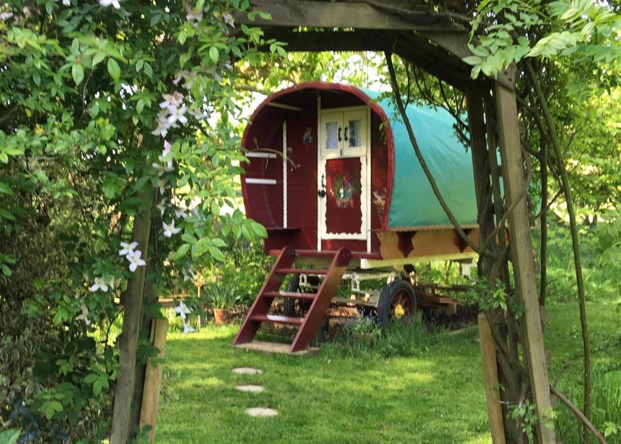 Bed and Breakfast Fernwood Ringwood Zewnętrze zdjęcie
