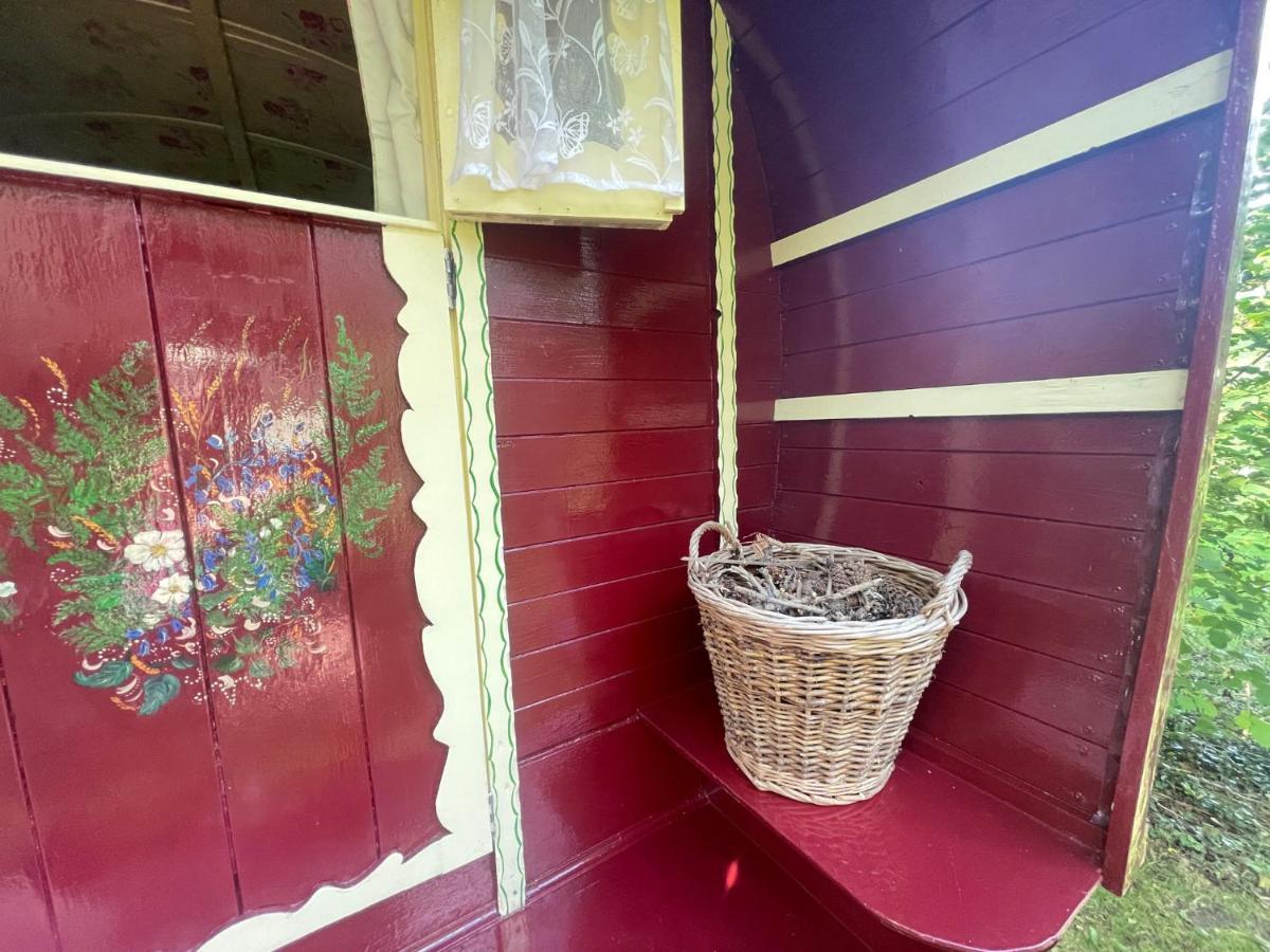 Bed and Breakfast Fernwood Ringwood Zewnętrze zdjęcie